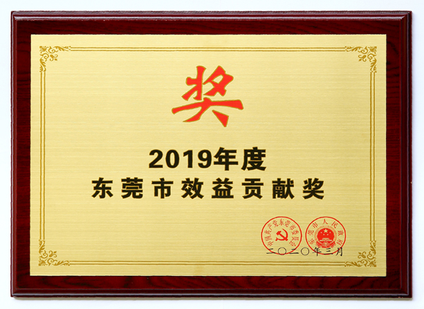 三正雁田房地產公司被評為“2019年度東莞市效益貢獻企業(yè)”.jpg